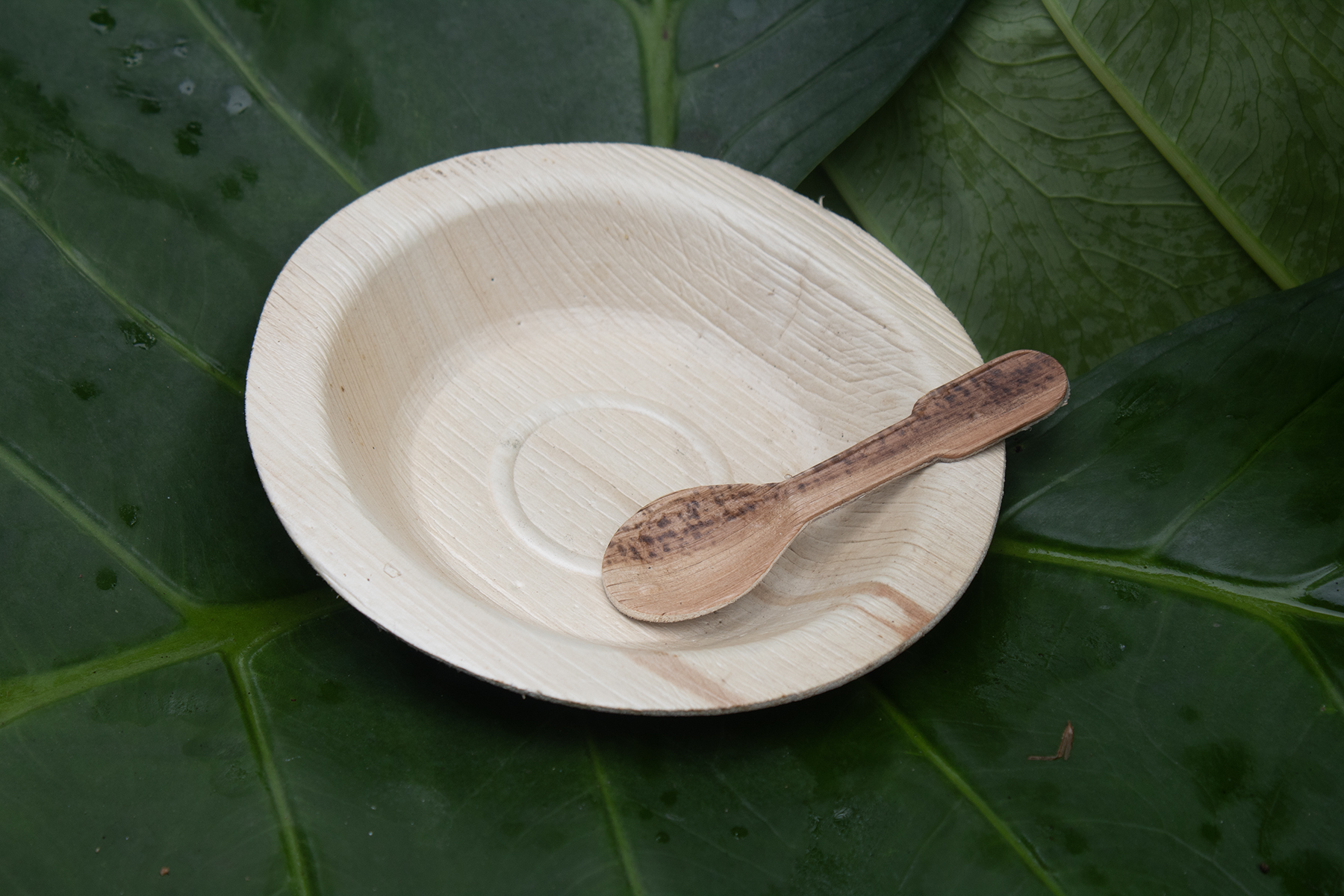 12 inch Round Plates